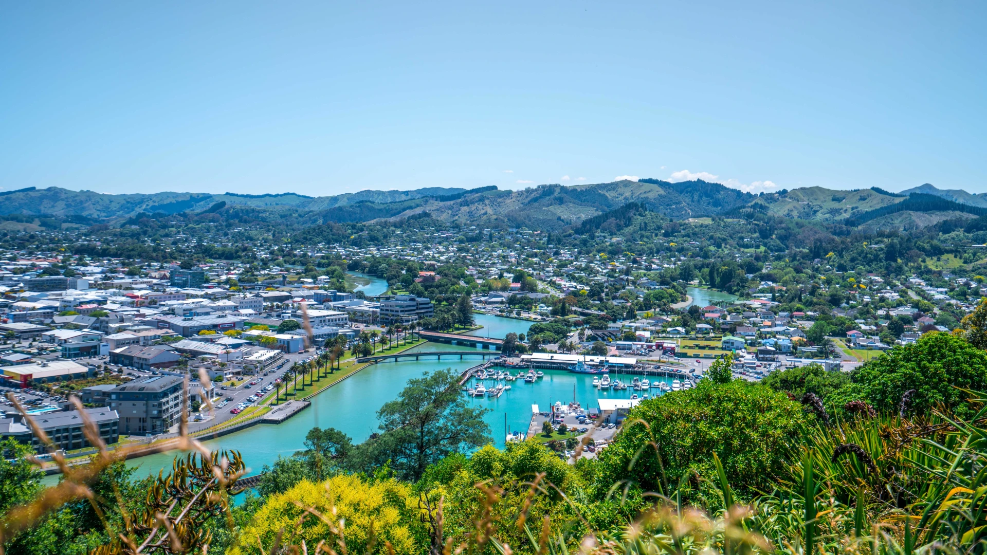 Gisborne