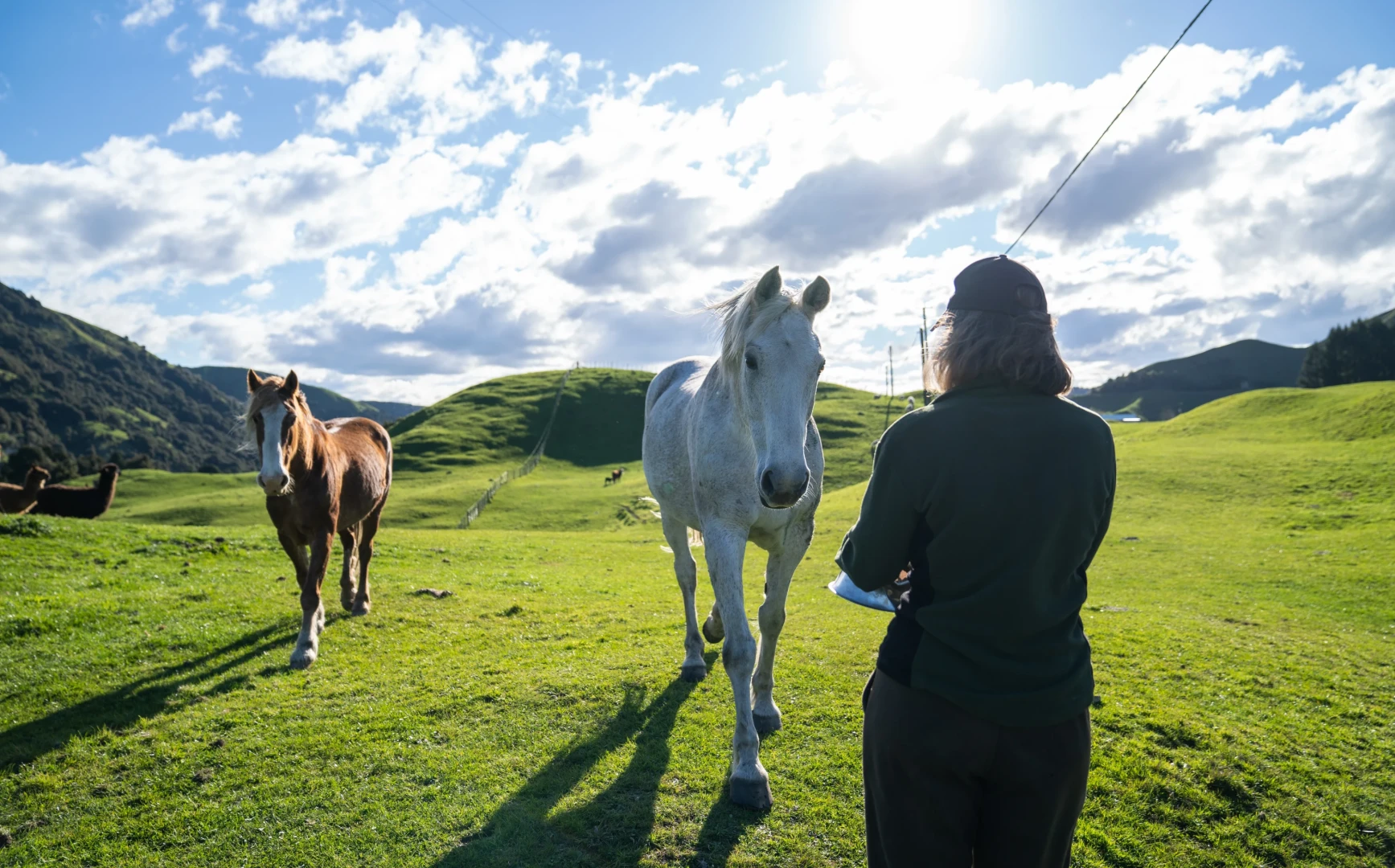 Mahaanui-Farmstay-Experience-ProductImageObject-1298_p-EE36FCBE-E24D-930B-07D9B5A18FA4B44E-2544003