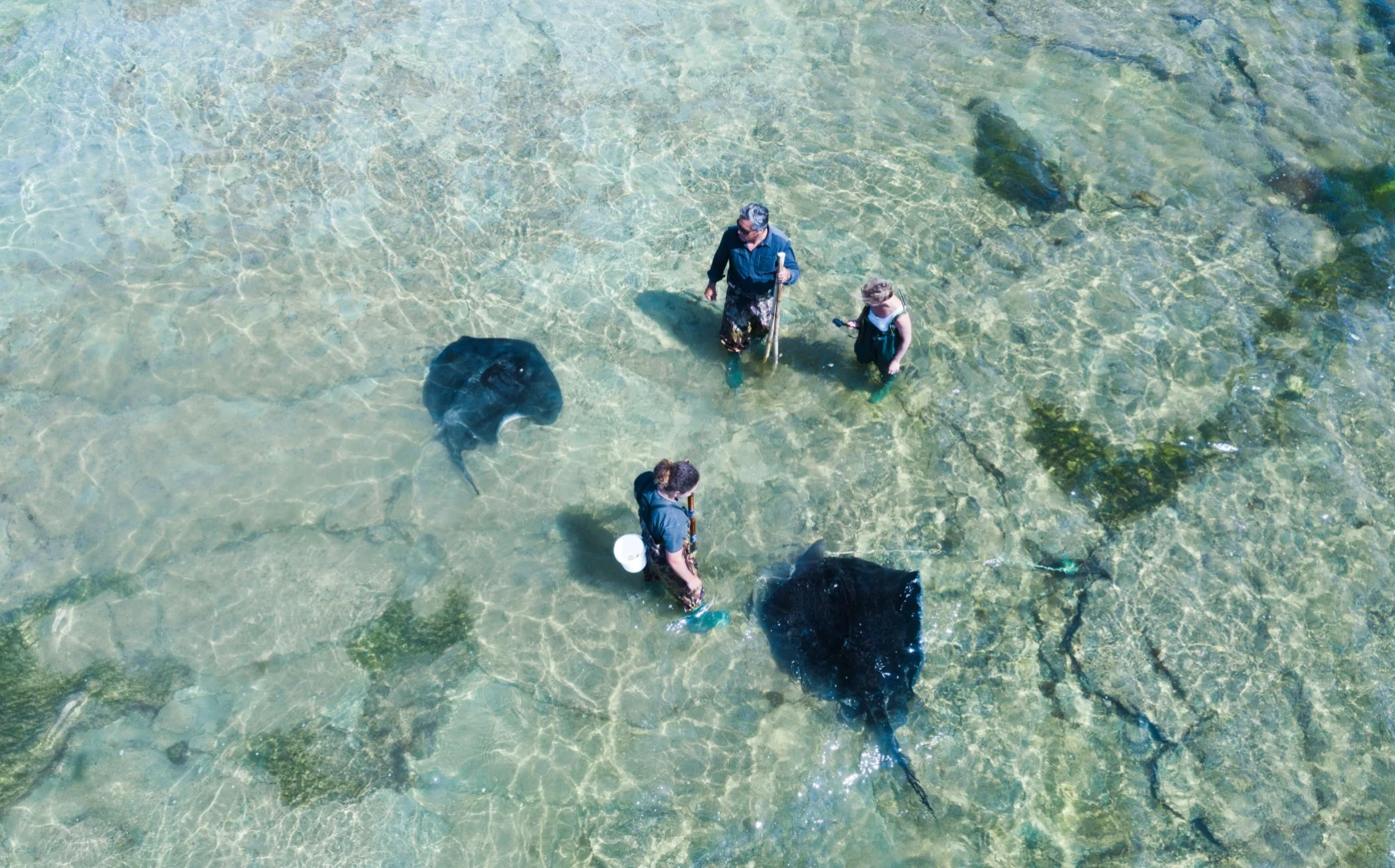 Dive Tatapouri credit Brook Sabin v2