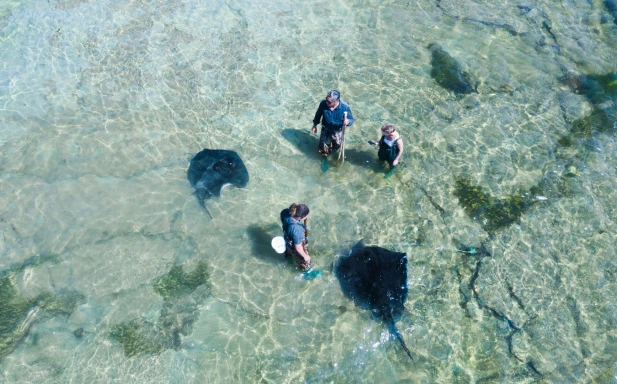 Dive Tatapouri credit Brook Sabin v2