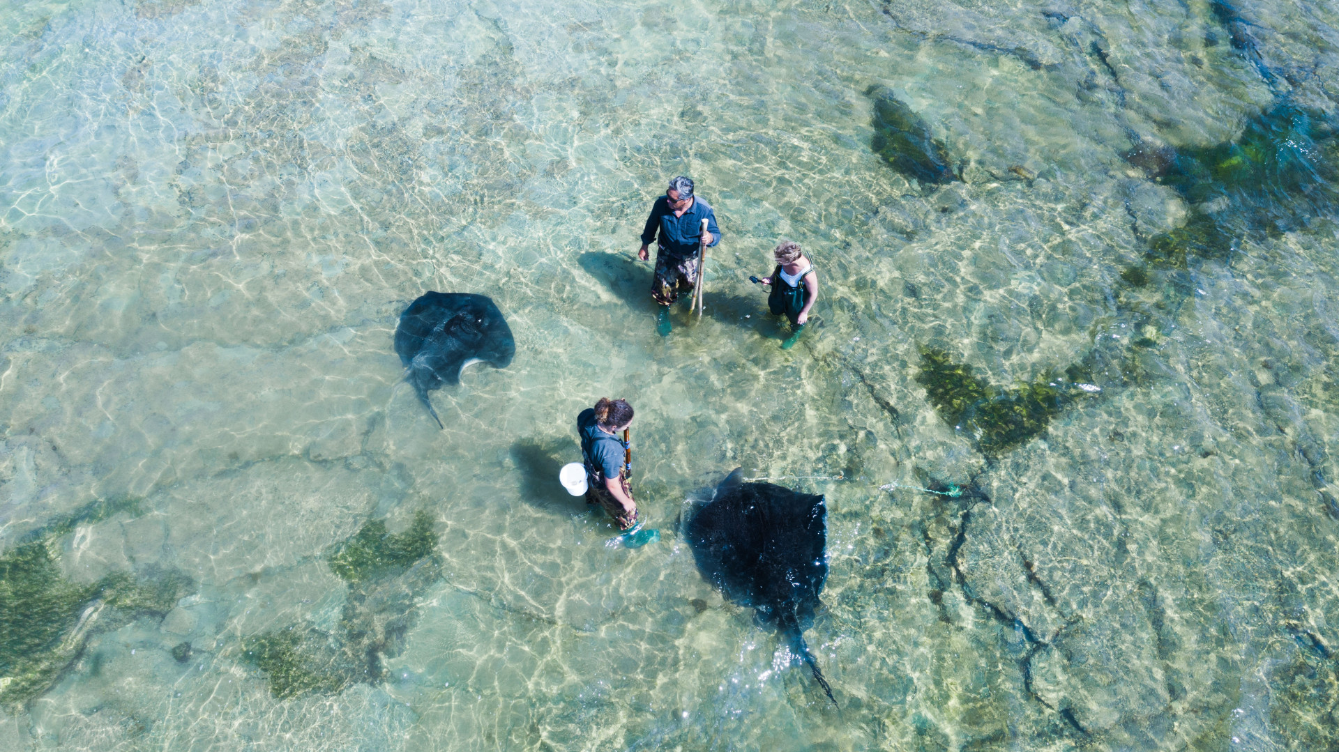 Dive Tatapouti gift vouchers