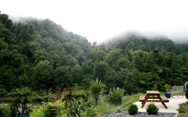 Bush Haven
