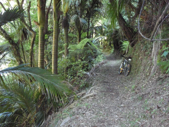 Bush Haven