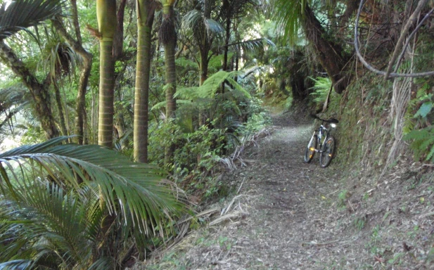 Bush Haven
