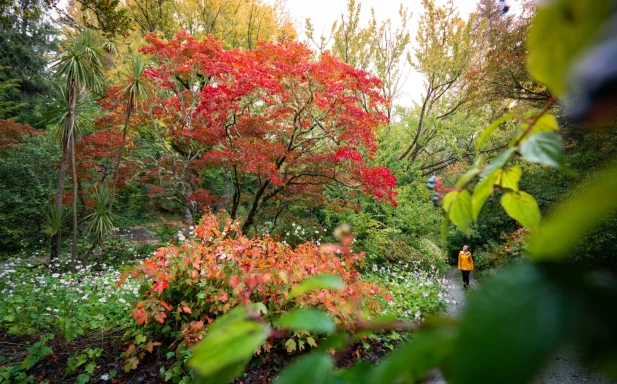 Eastwoodhill Arboretum 11 v2