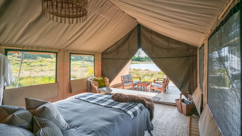 Canopy Camping Escapes | Manutuke Eco Retreat