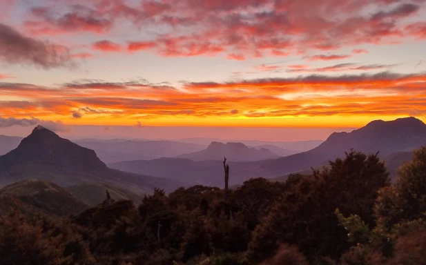 Maunga Hikurangi Te Urunga Tu Sunrise Tour