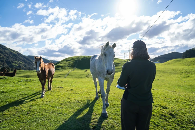 Mahaanui Farmstay Experience