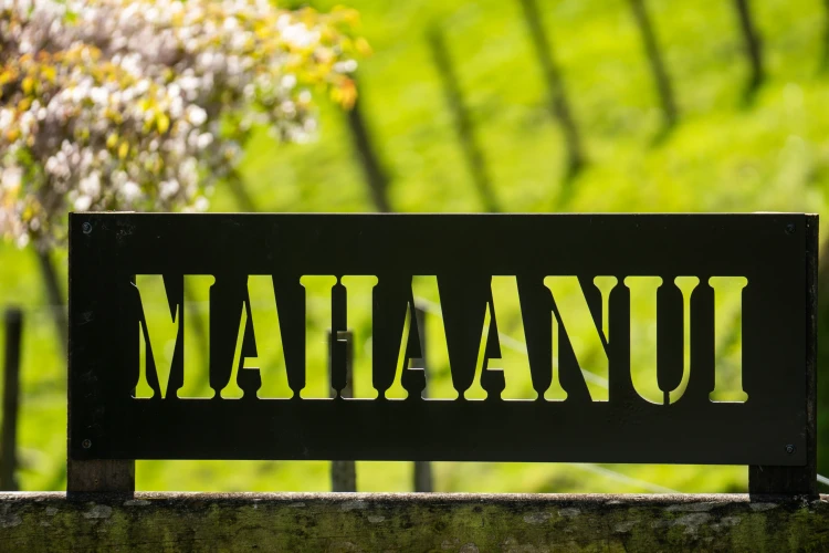 Mahaanui Farmstay Experience