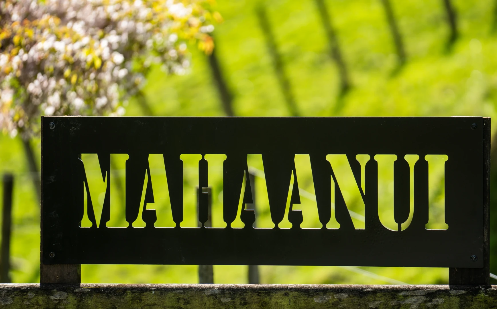 Mahaanui Farmstay Experience