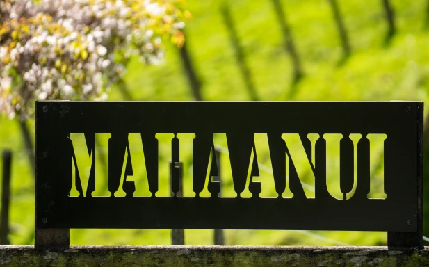 Mahaanui Farmstay Experience