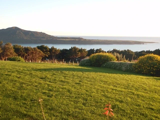 Nga Puriri