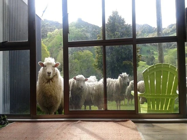 Linburn Farmstay