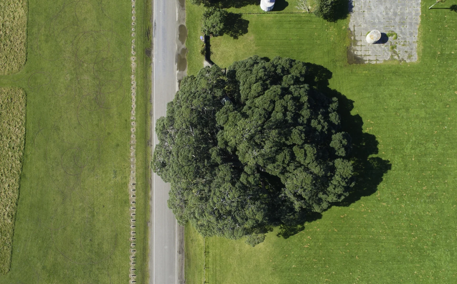 Te Waha o Rerekohu 6