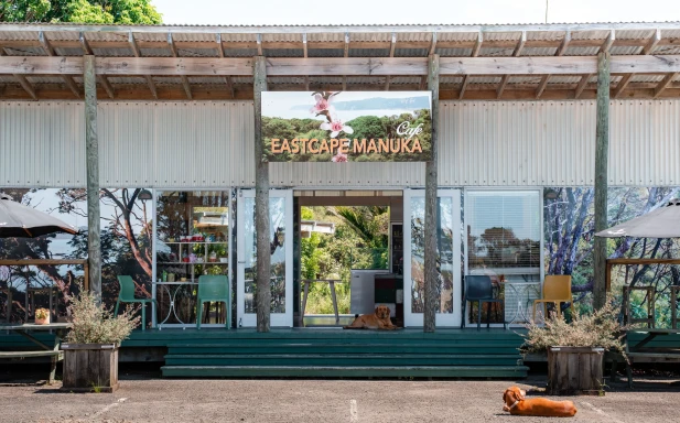 Manuka Cafe 5