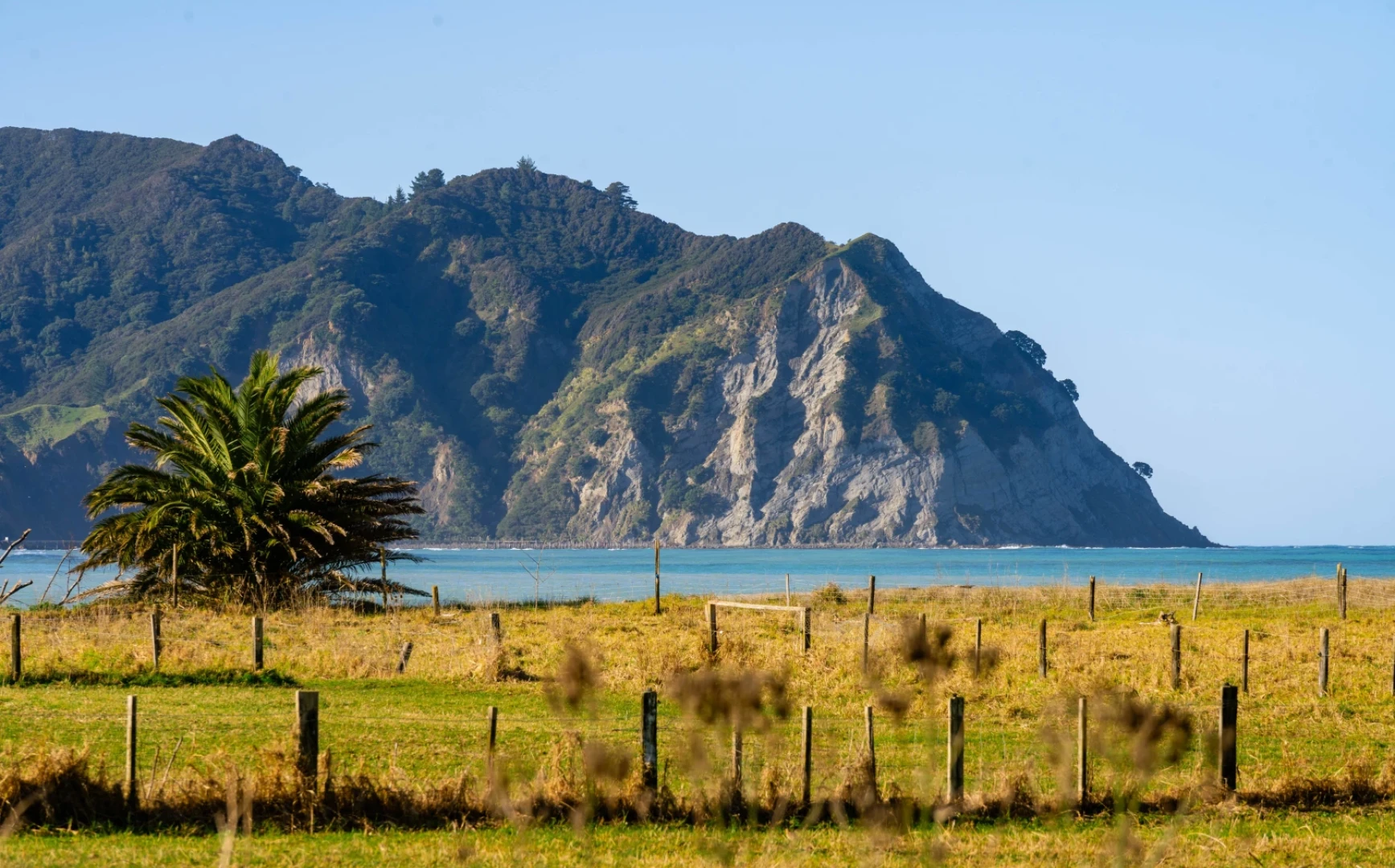 Tokomaru Bay 10 Taylor Kirk Productions