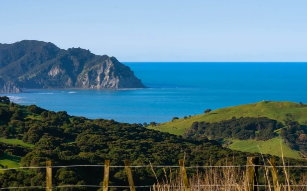 Tokomaru Bay 11 Taylor Kirk Productions