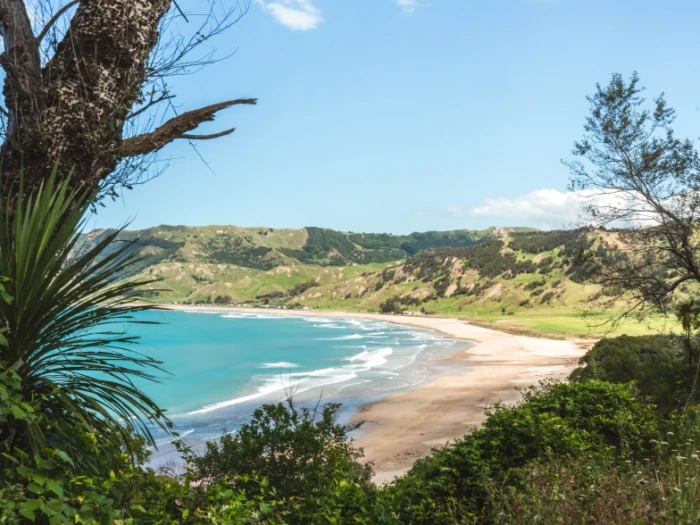 Anaura Bay Motor Camp