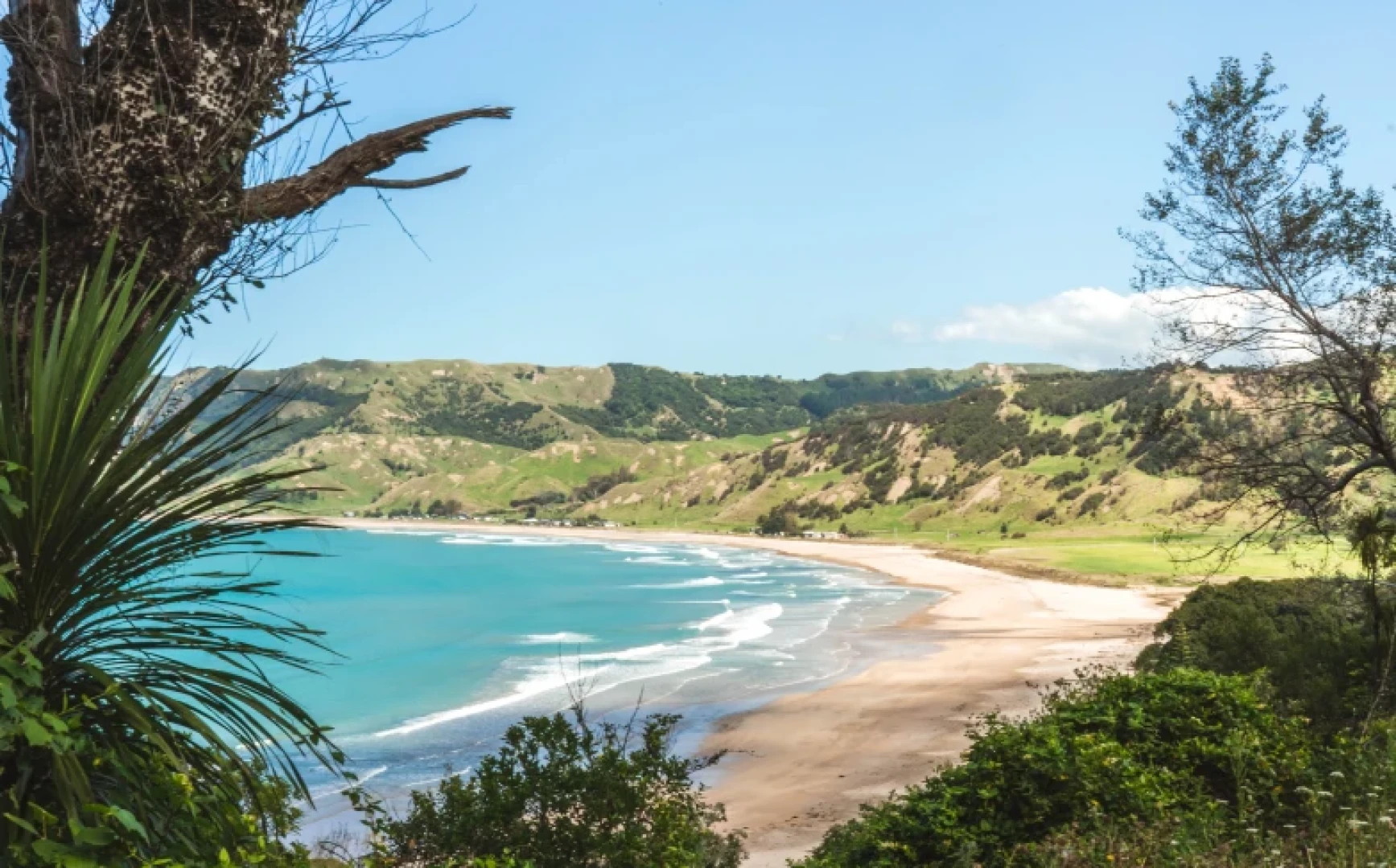 Anaura Bay 9