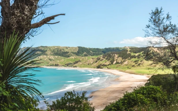 Anaura Bay 9