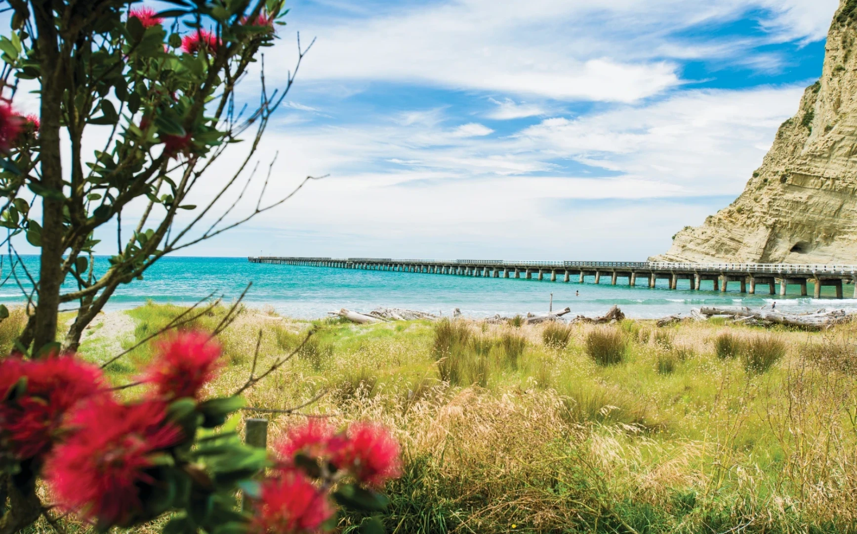 Tolaga Bay Wharf Gisborne 0002741 preview