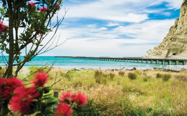 Tolaga Bay Wharf Gisborne 0002741 preview