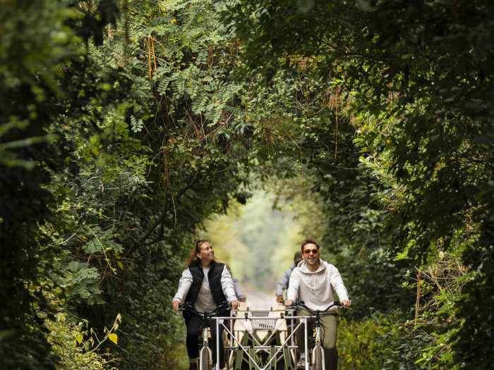 Gisborne Railbike Adventures