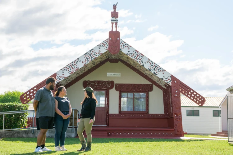 Tipuna Tours
