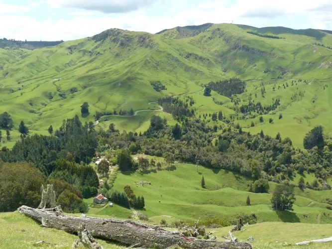 Haurata High Country Retreat