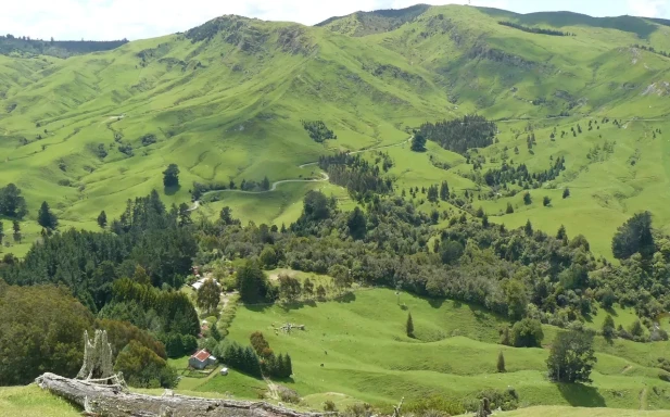 Haurata High Country Retreat