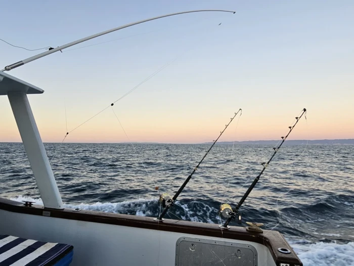 Touchwood Fishing Charters