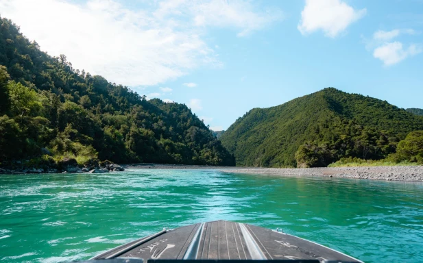 Tairawhiti Gisborne 336