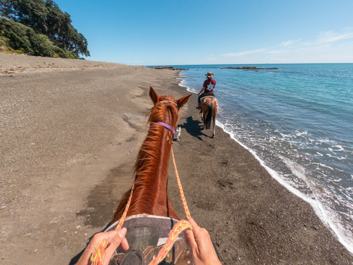 Standfast Horse Treks 