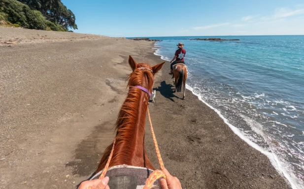 Te Kaha Standfast Horsetreks 108