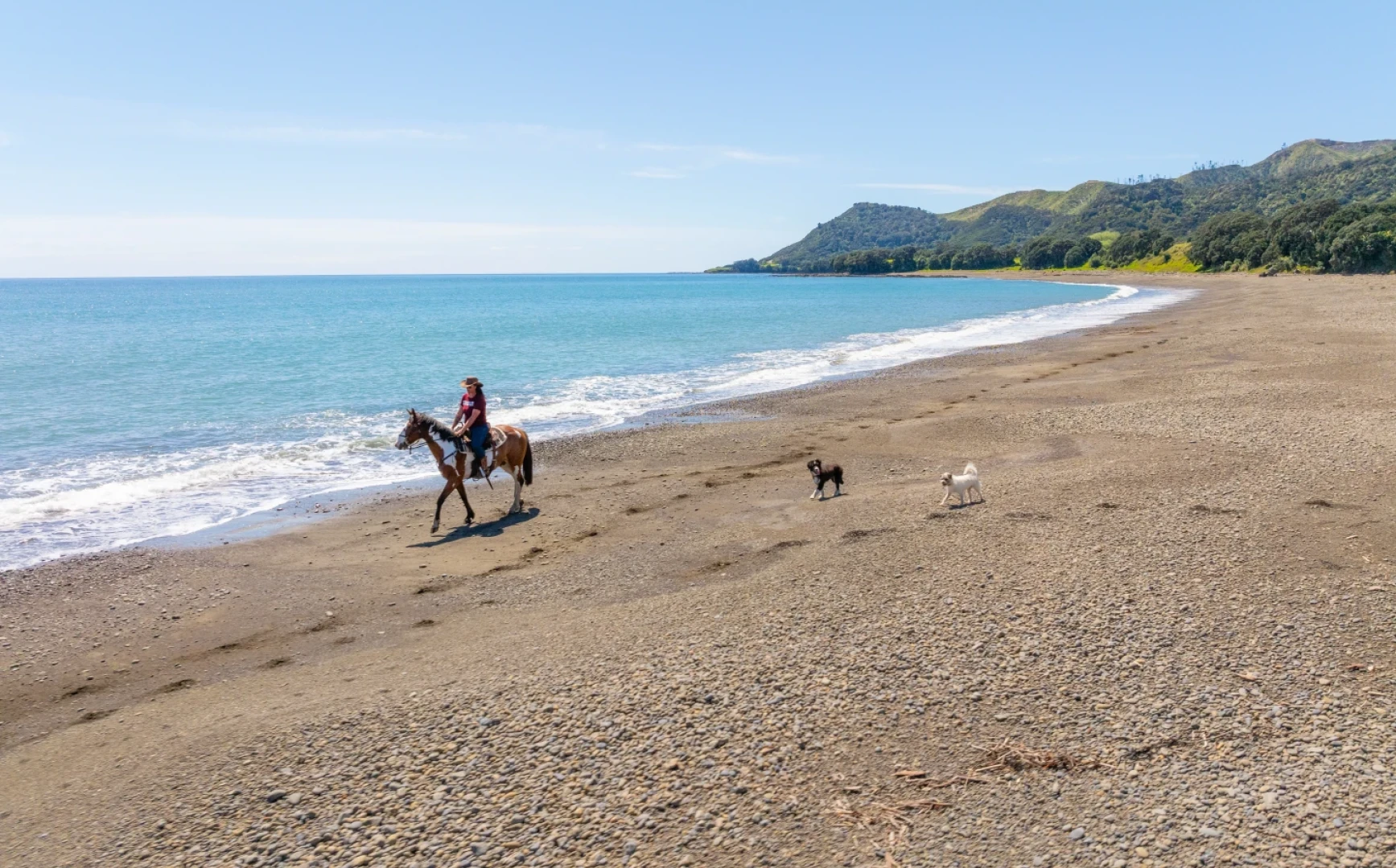 Te Kaha Standfast Horsetreks 86