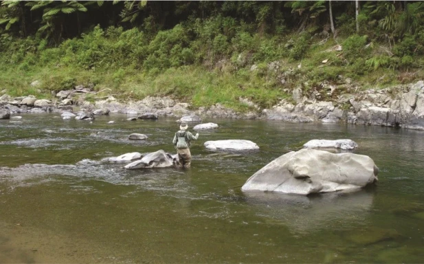 Fly Fishing in the River jpeg