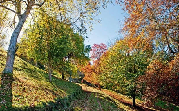 Hackfalls Aboretum