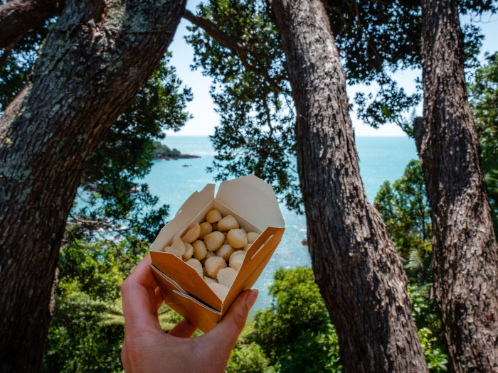 The Nut House Cafe - Whanarua Bay 