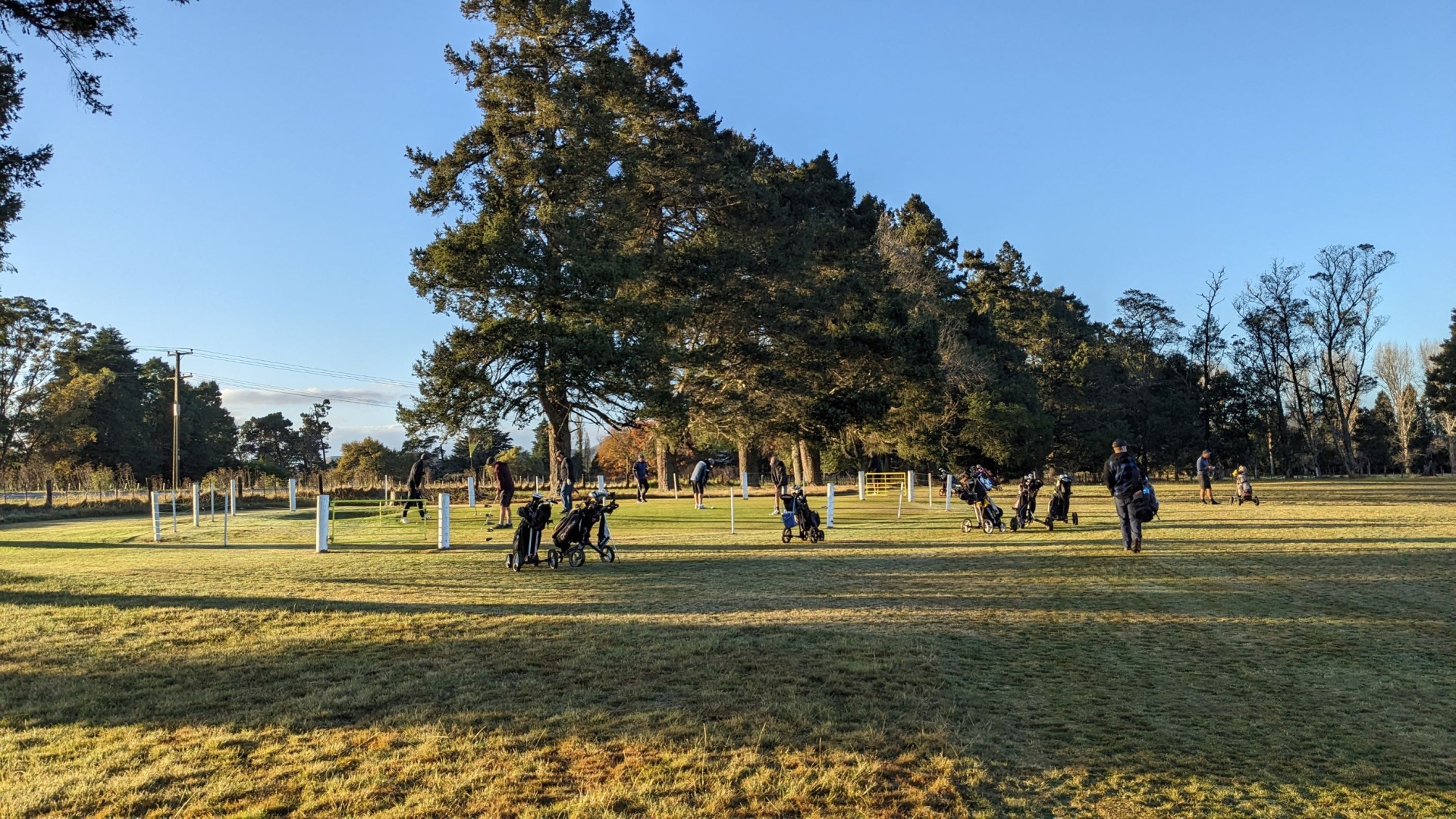 PXL 20240426 192858712