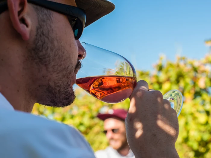 TW Wines 