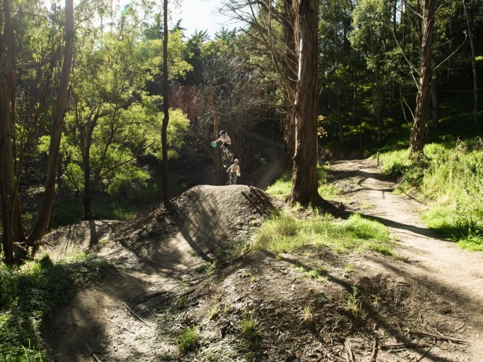 Whataupoko Mountan Bike Park 