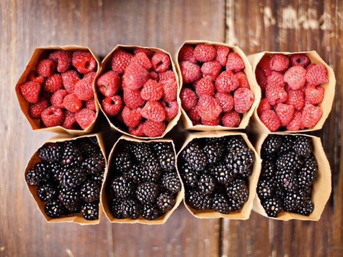 Village Berries