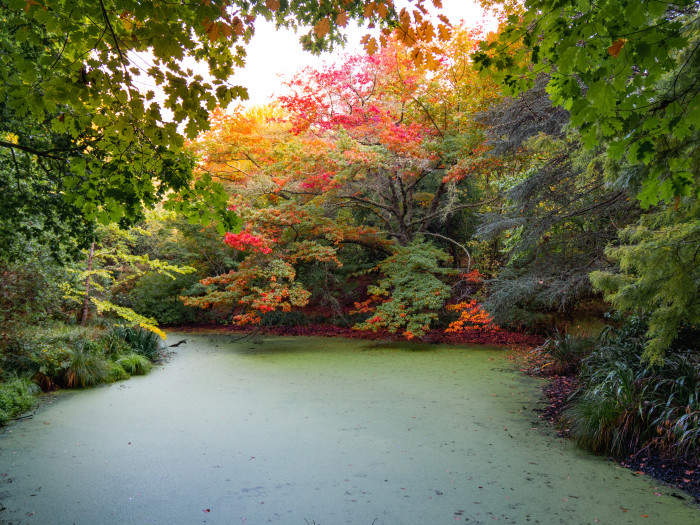 National Arboretum of NZ - Eastwoodhill