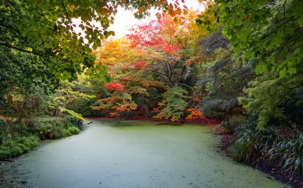 Eastwoodhill Arboretum 2