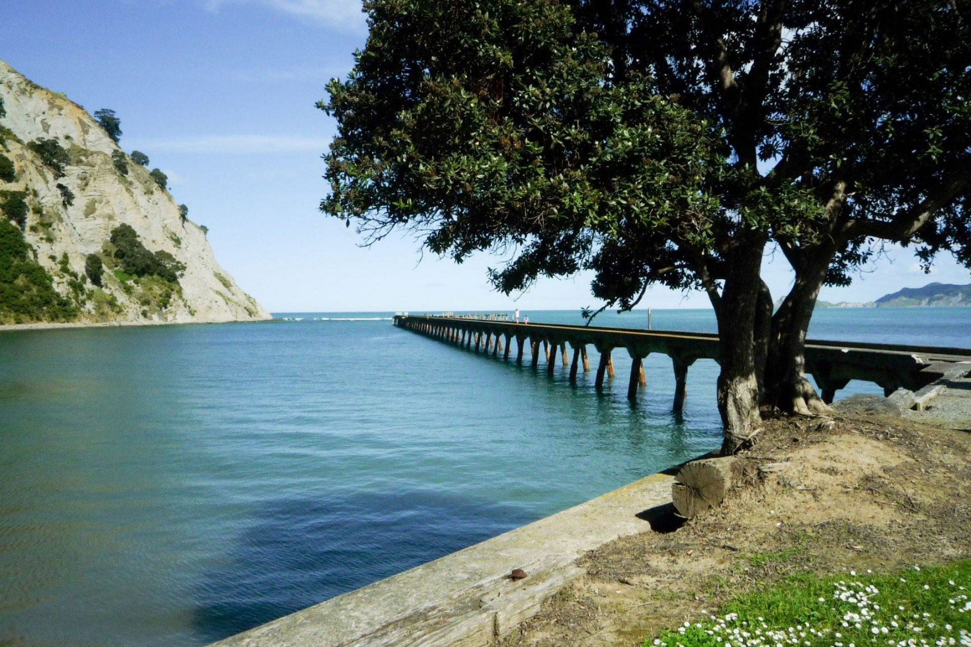 Tokomaru Bay & Anaura Bay | Tairāwhiti Gisborne NZ