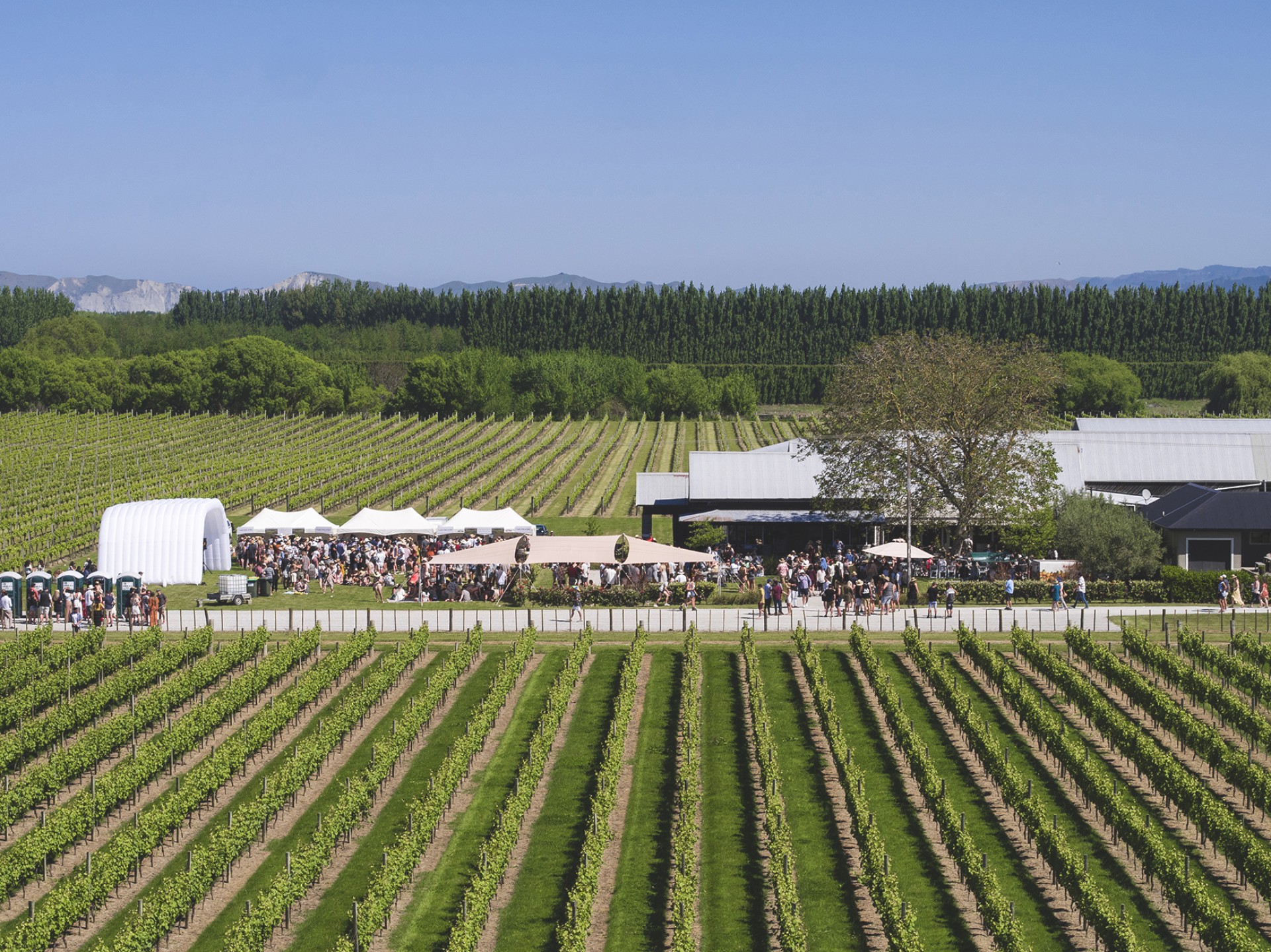 Wine and Food Festival Gisborne Tairawhiti Gisborne