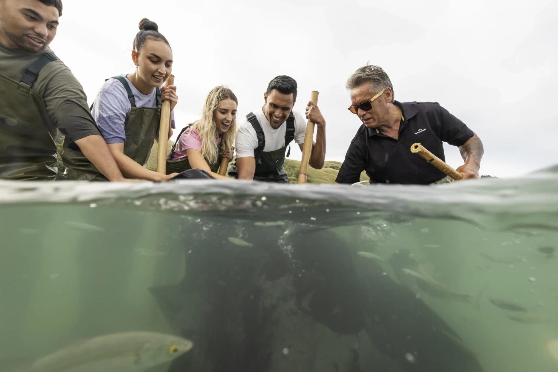 TNZ GIS Tatapouri MH 0008