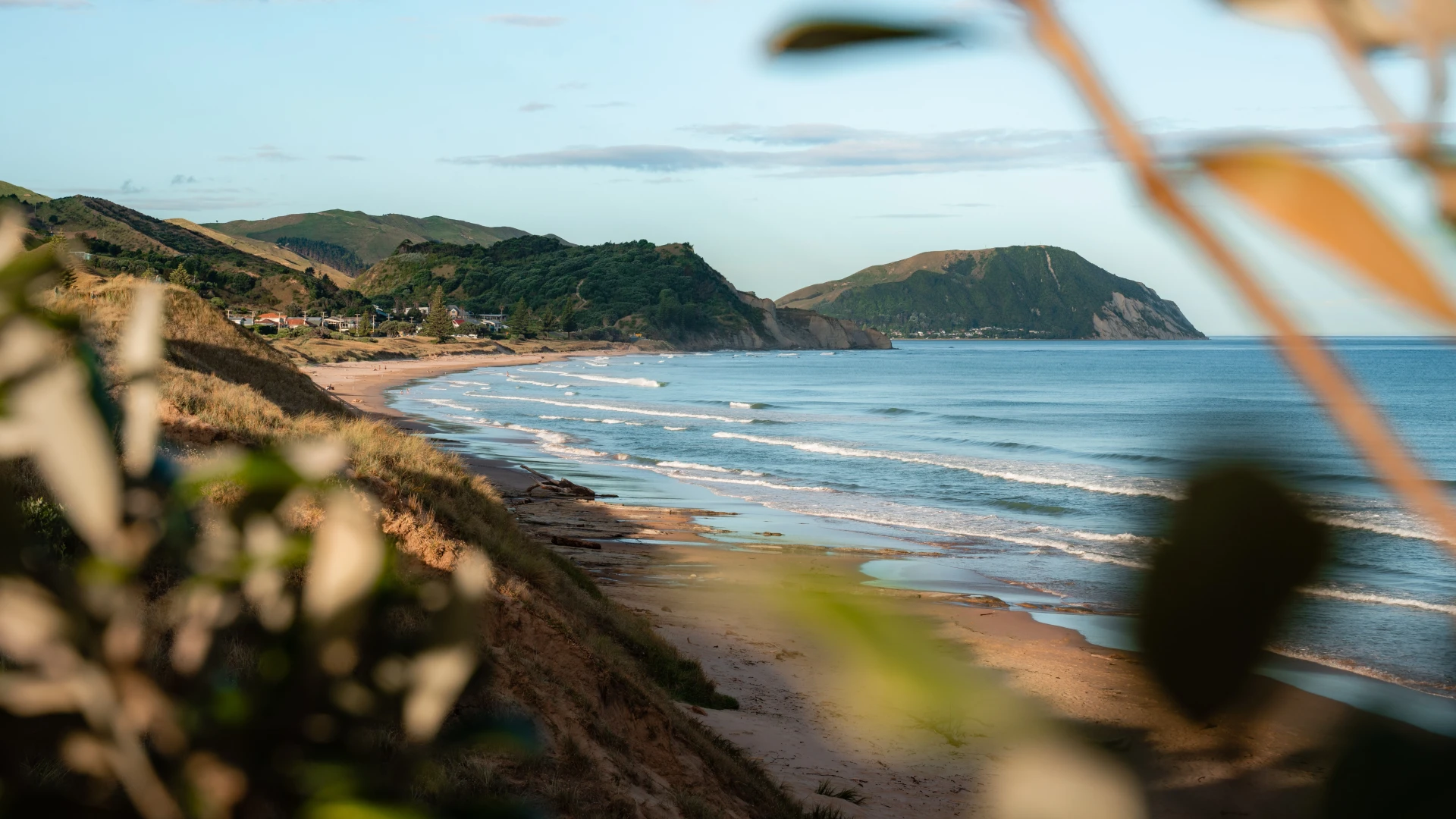 Tairawhiti Gisborne 64