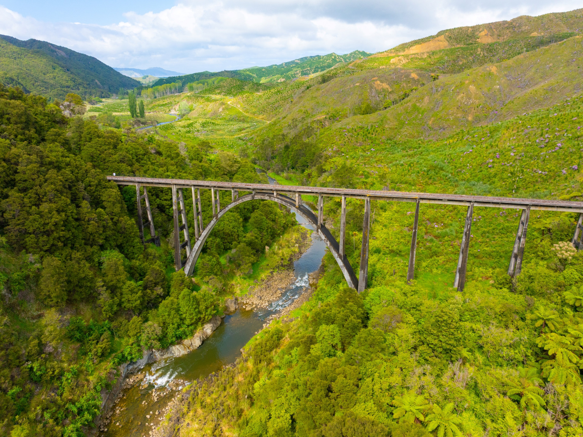 low resssss Gisborne Railbike Adventures 54